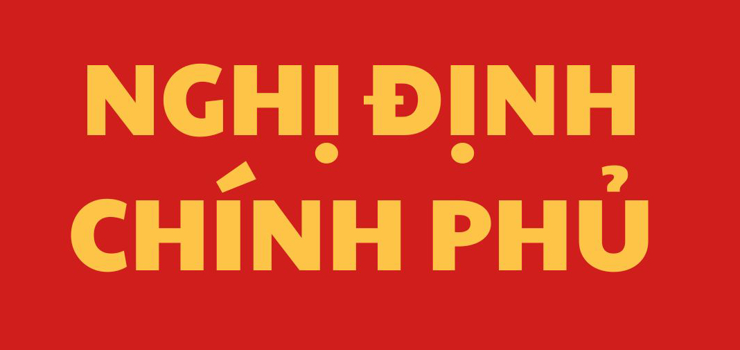 Nghị định số 156/2025/NĐ-CP do Chính phủ ban hành ngày 16 tháng 6 năm 2025